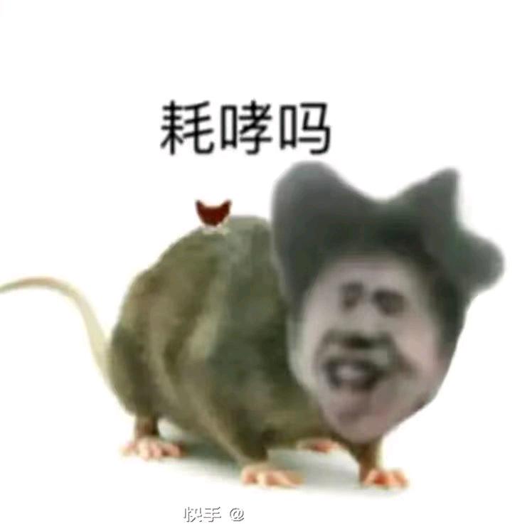 老鼠没饼（超自然版）