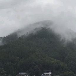 创骐—小梁