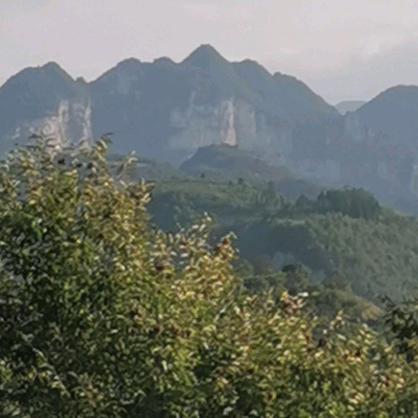 邓力，巜葬形，葬气，葬脉，葬影，研究者》