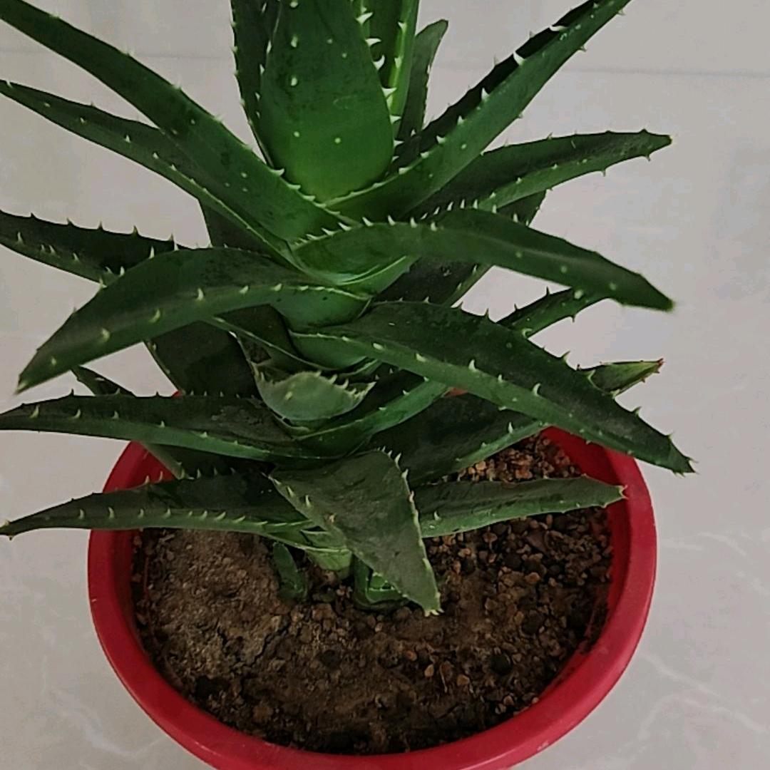 珍惜当下每一天。