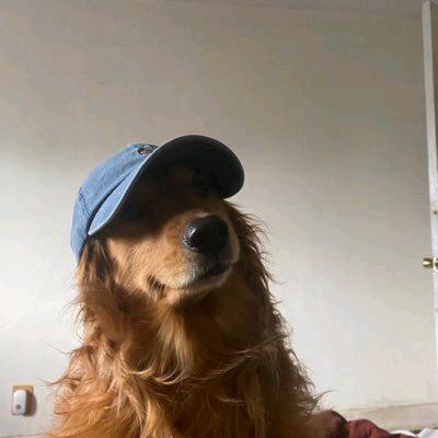 墨西哥鸡肉卷🫔