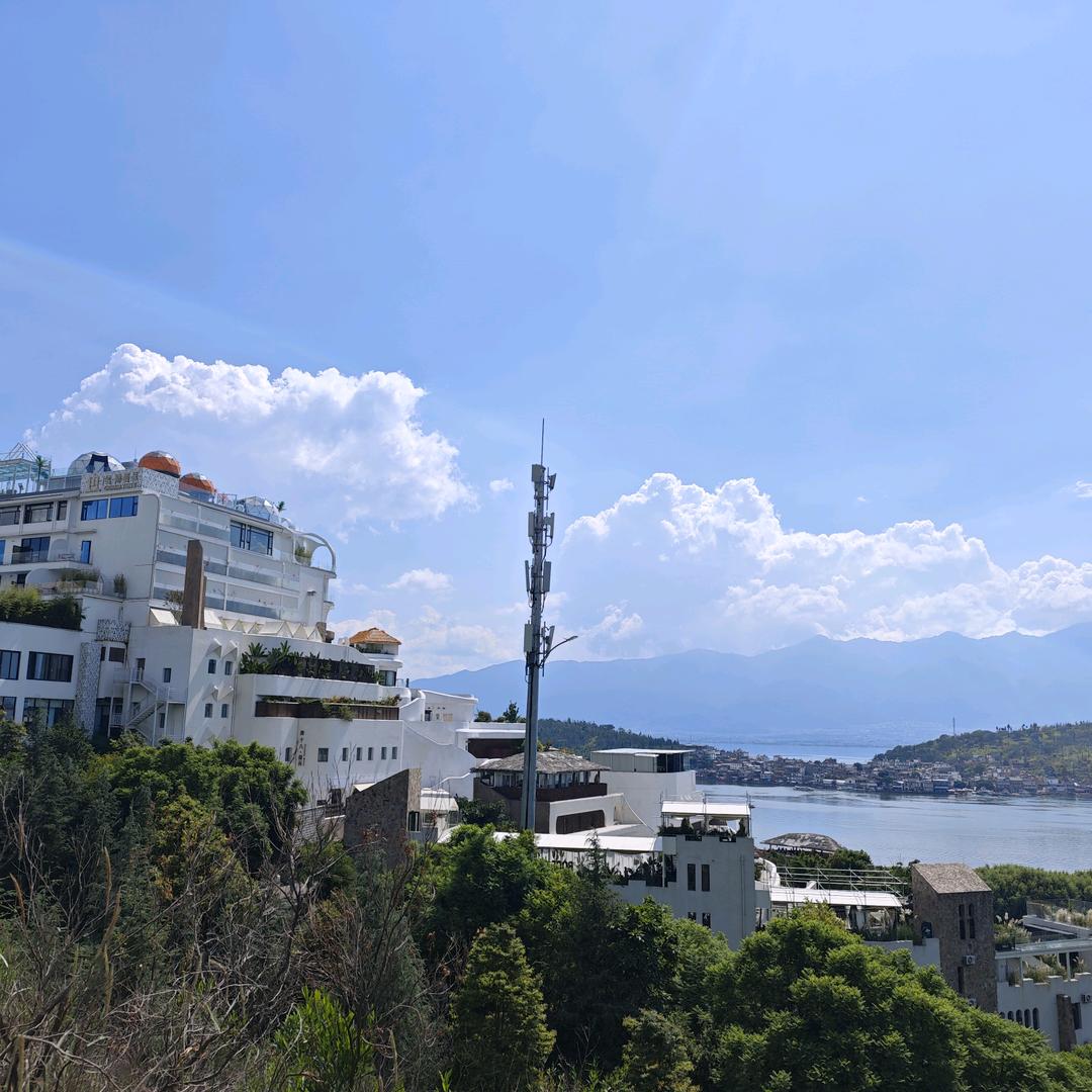 小豆子情感语录