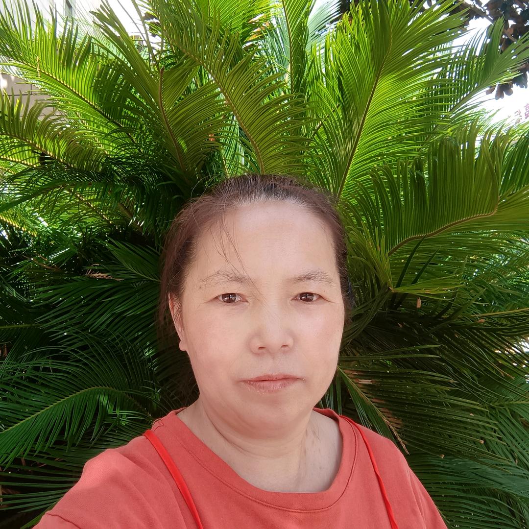 小苹果