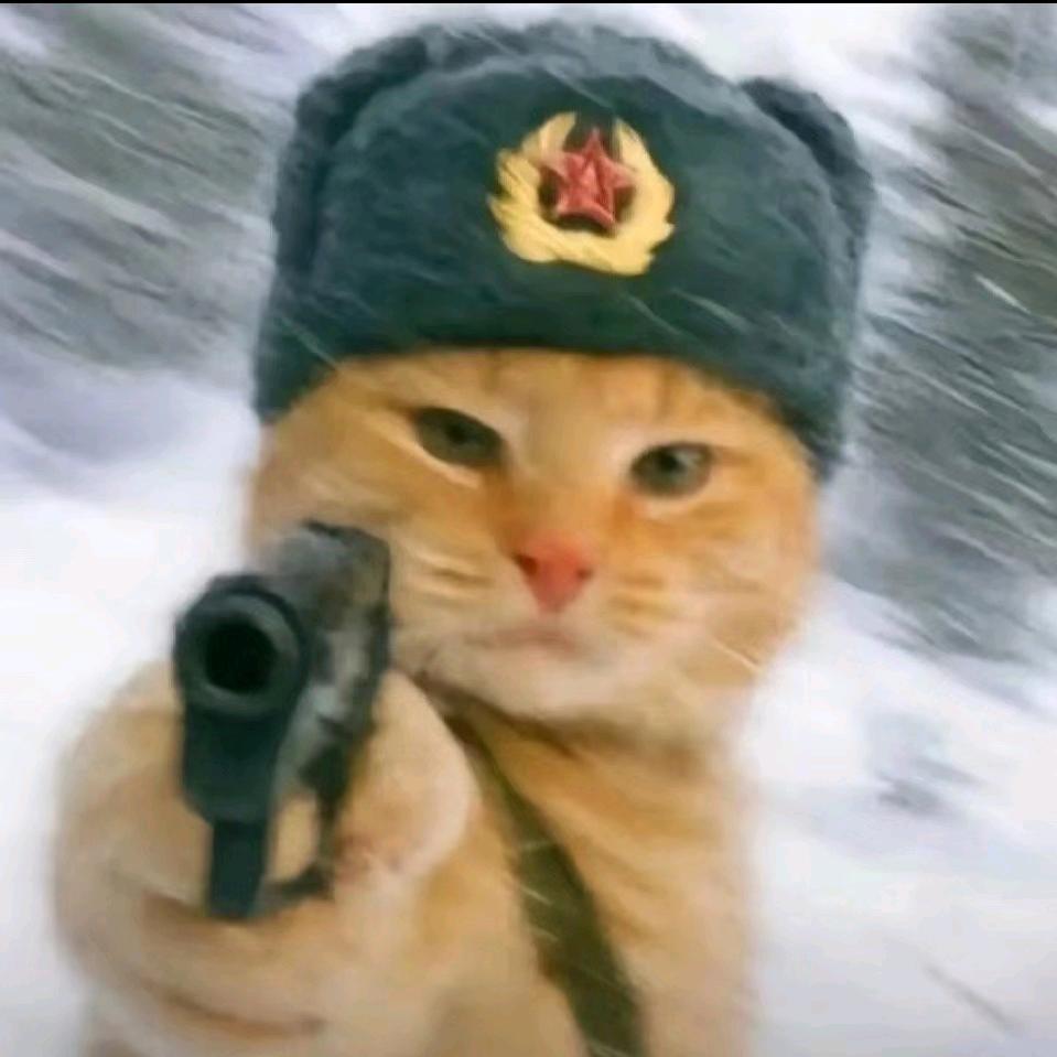今天有吃维生素吗