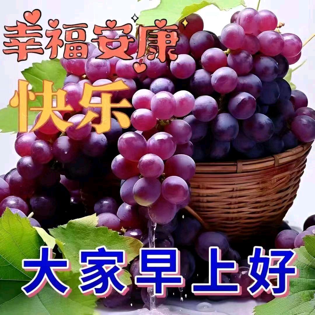 情以真为贵