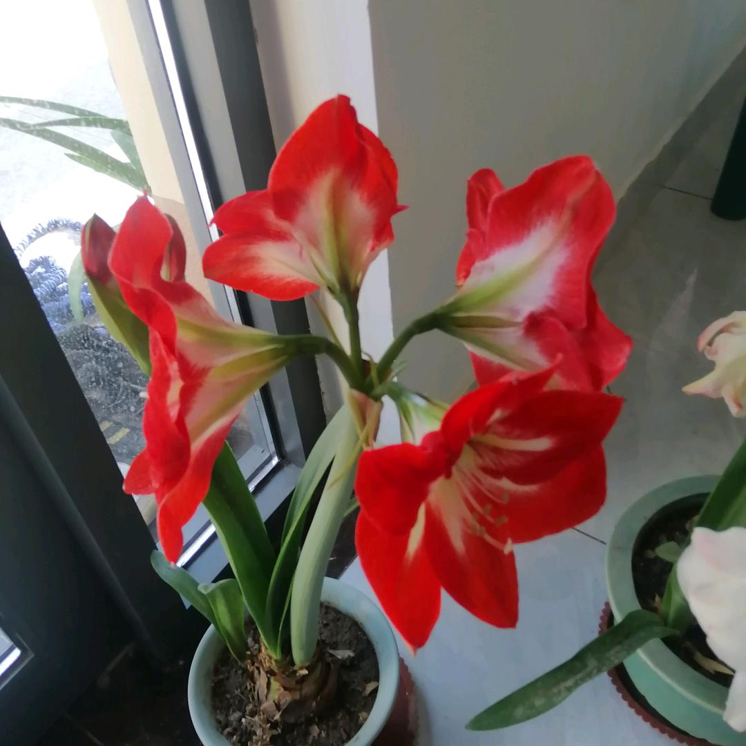 小车飞在马路上