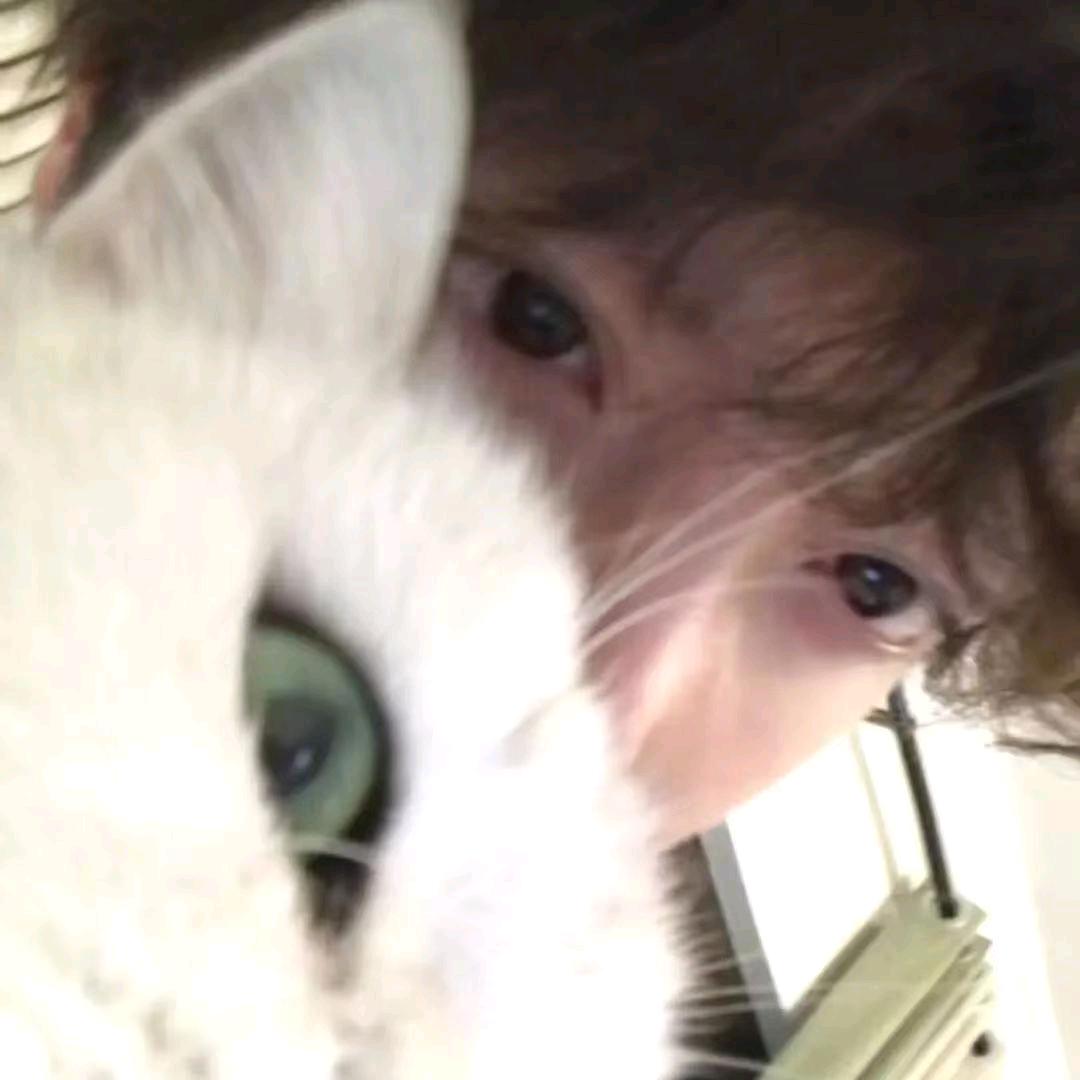 宸霖就业－小景〖HR〗