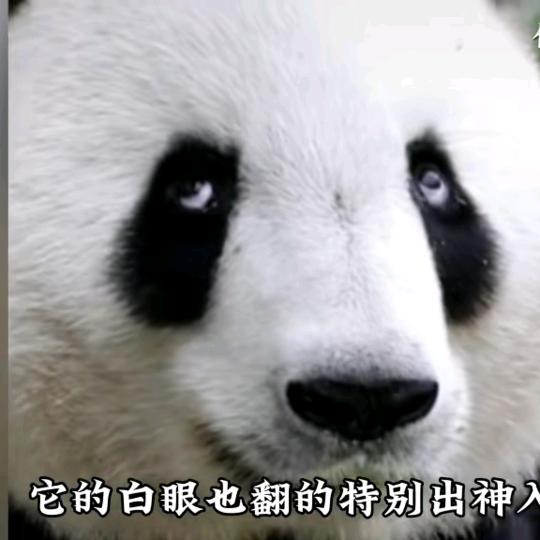 Ma~´Ha `ha