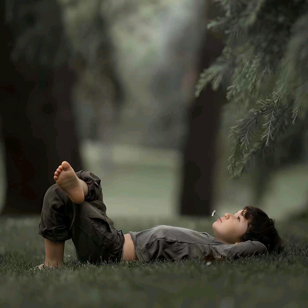 🌙洗洗睡吧ヾ大兴