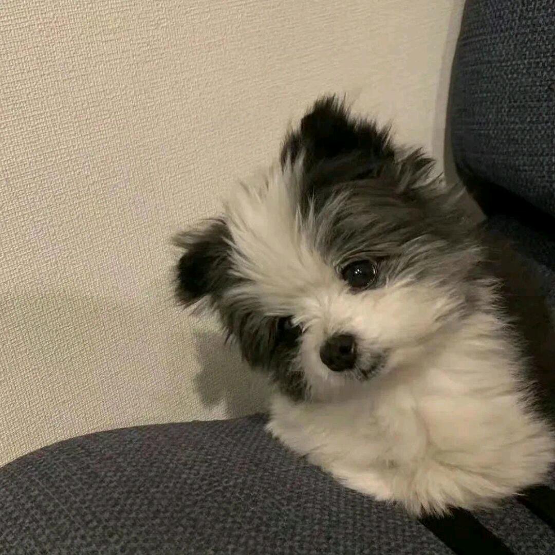 小伍 🌈