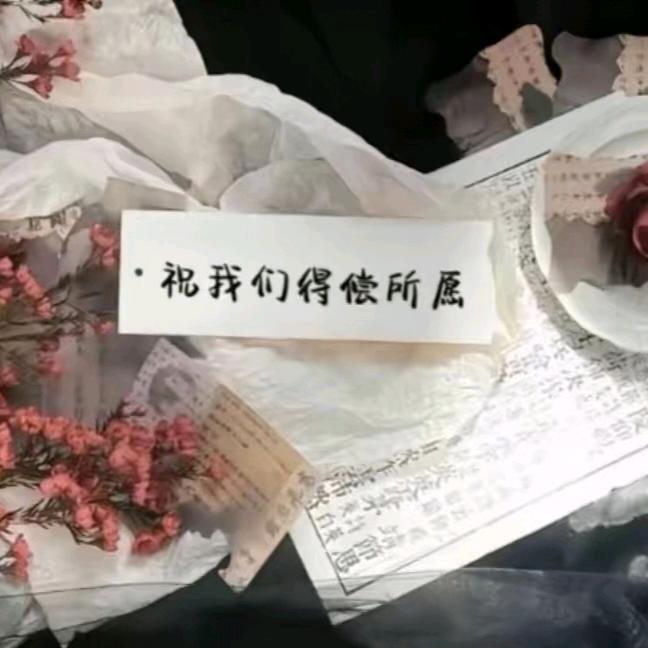 黑黑11