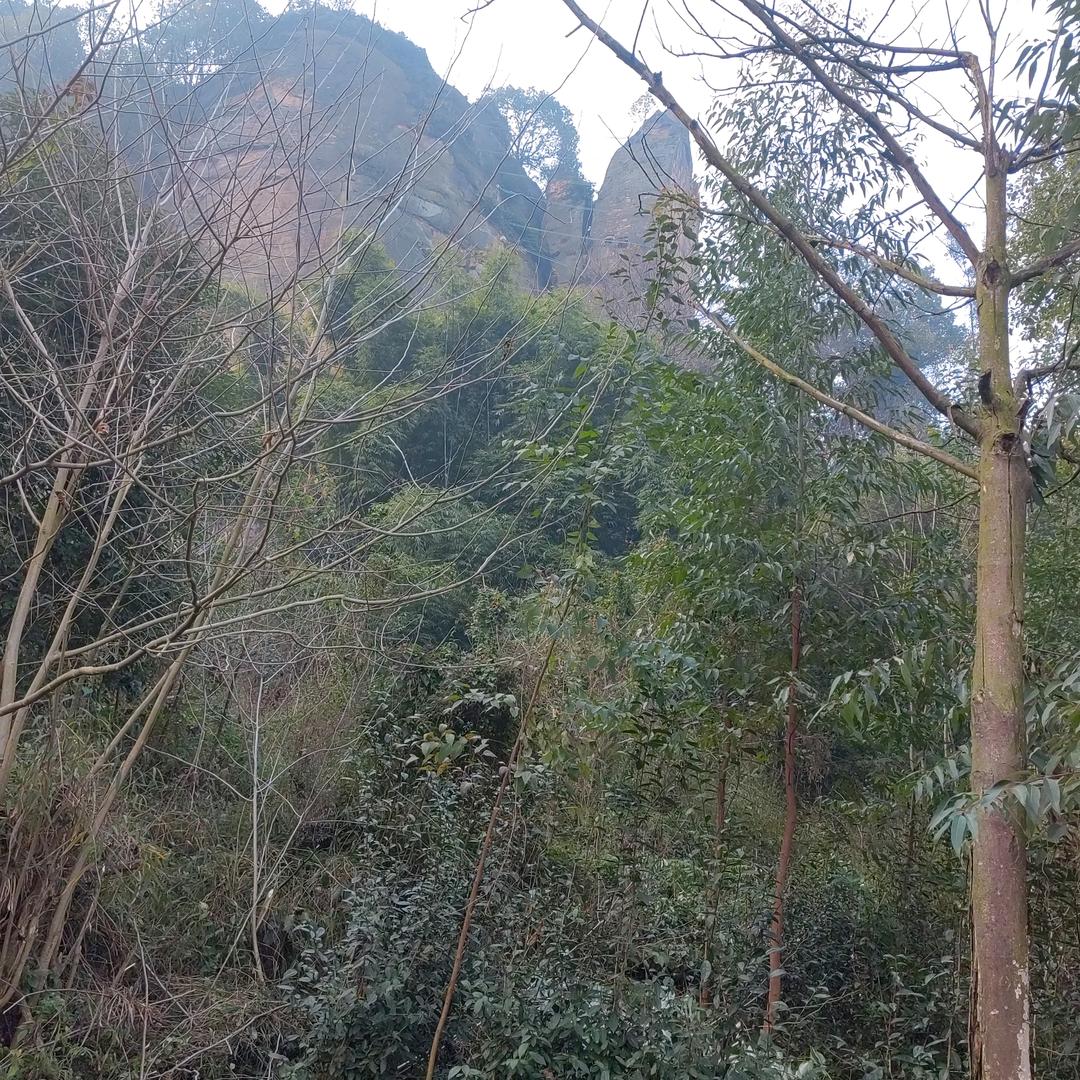 乐山大叔-废品回收