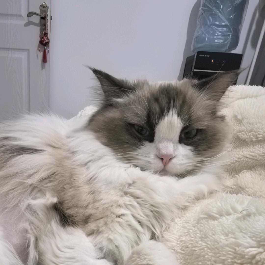 AAA水果批发小郭