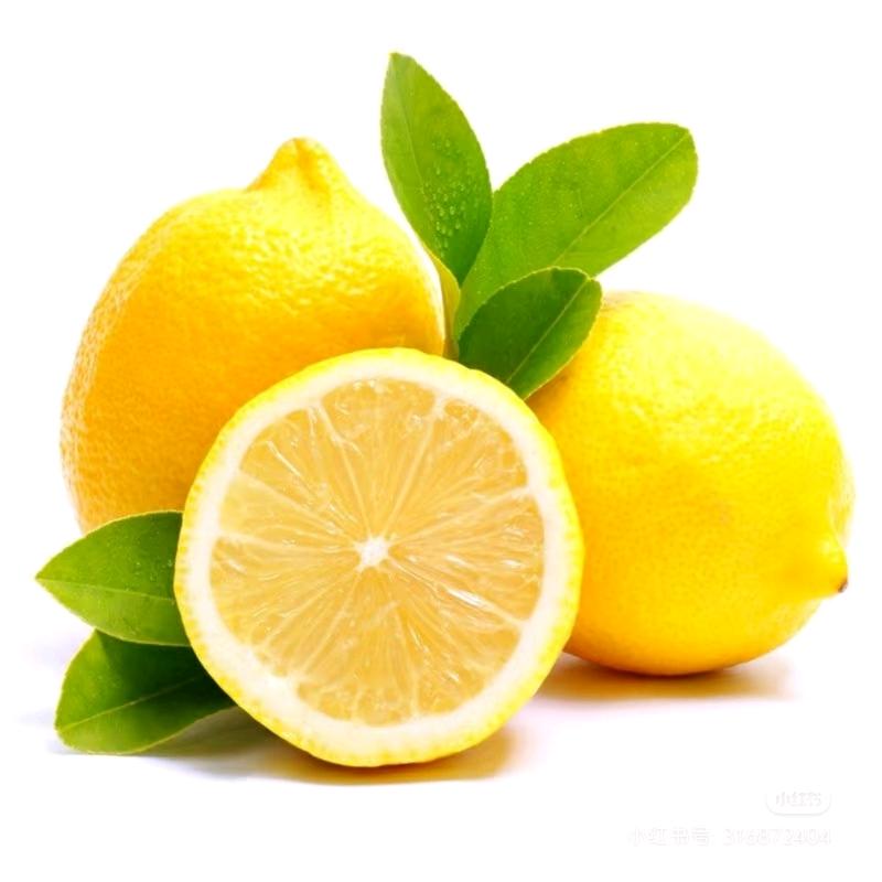 🍋柠檬🍋
