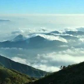 🎄木水华年 💦