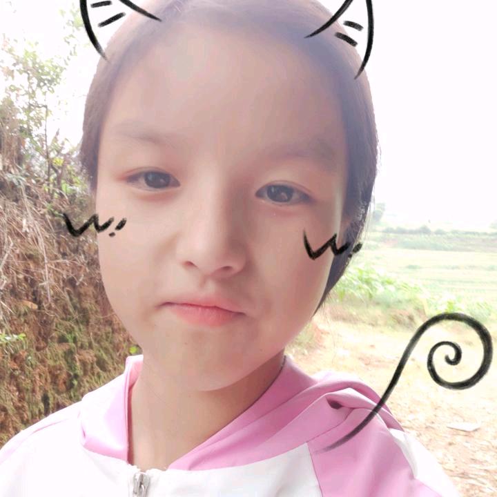 冰岛村地界组72号茶叶。