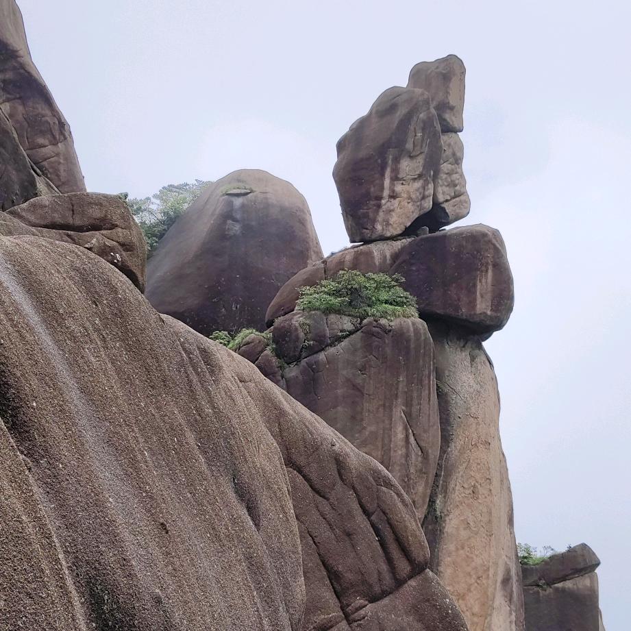 骑着蜗牛看世界