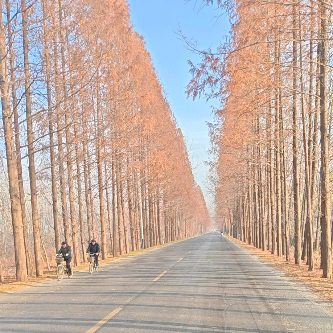 平面