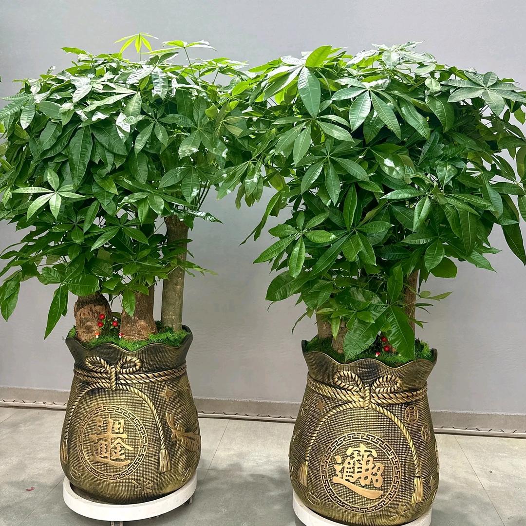 唐河卤羊肉〔泌阳总店〕地址：盛世江南