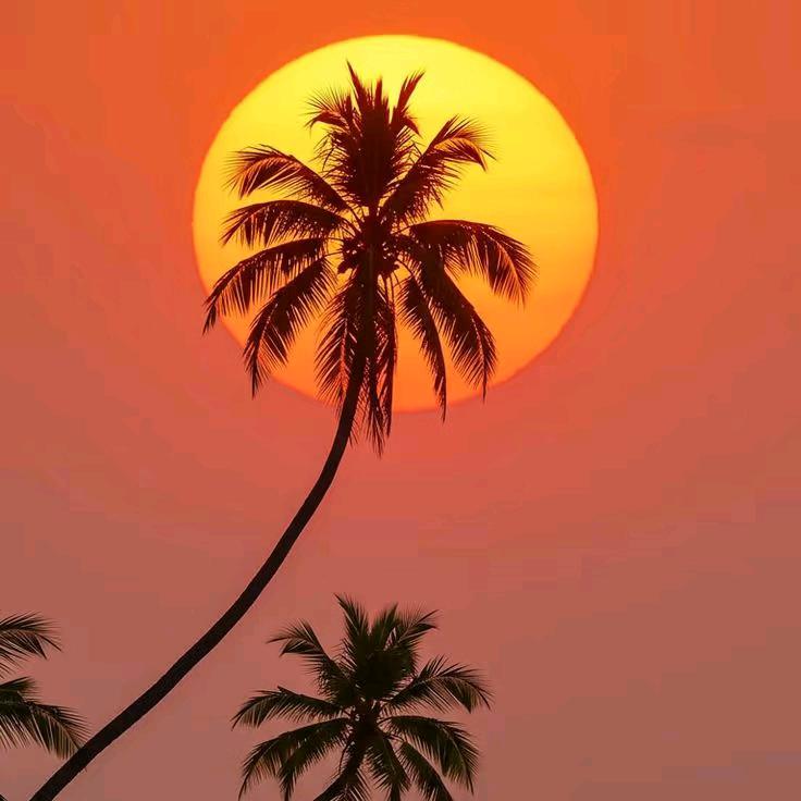 美丽的风景有个我