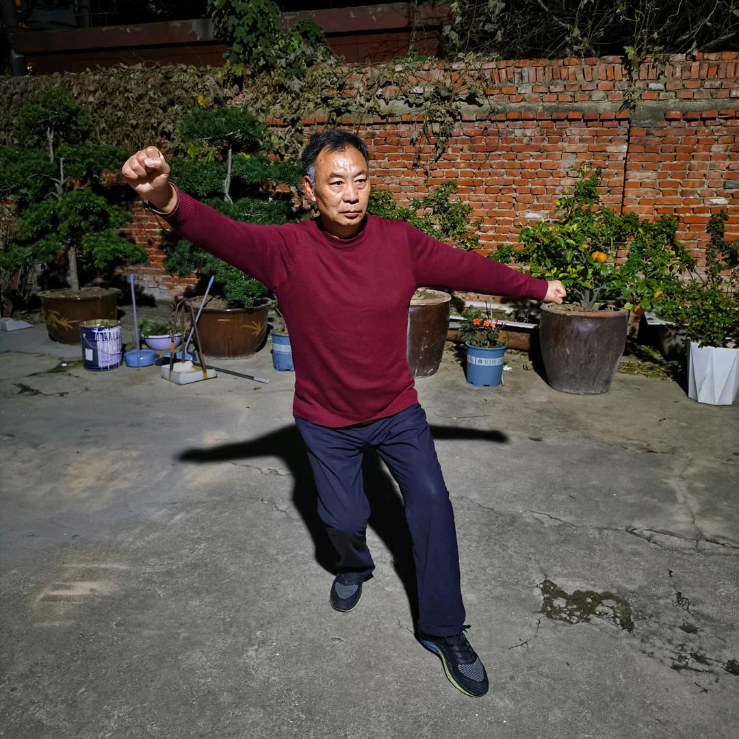 临泉两仪拳王水林