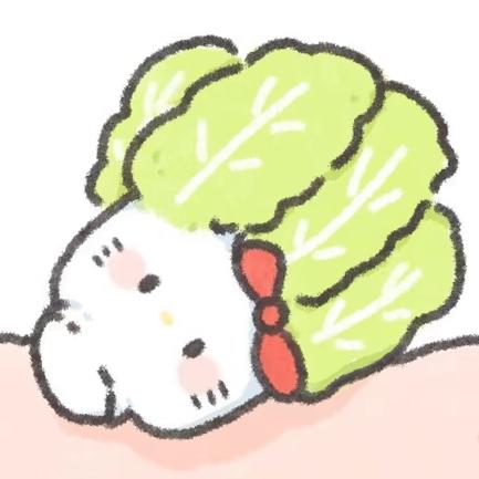 我的小猪🐷会飞