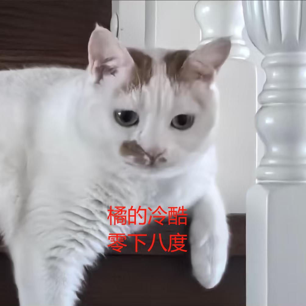 一路向北🤓🤓