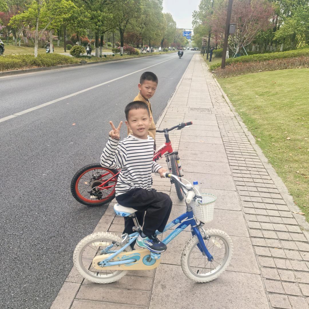 小董（卖冻货，养个鱼，生活日常）