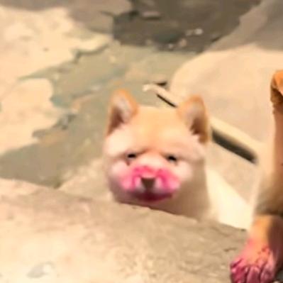 ManGou头像