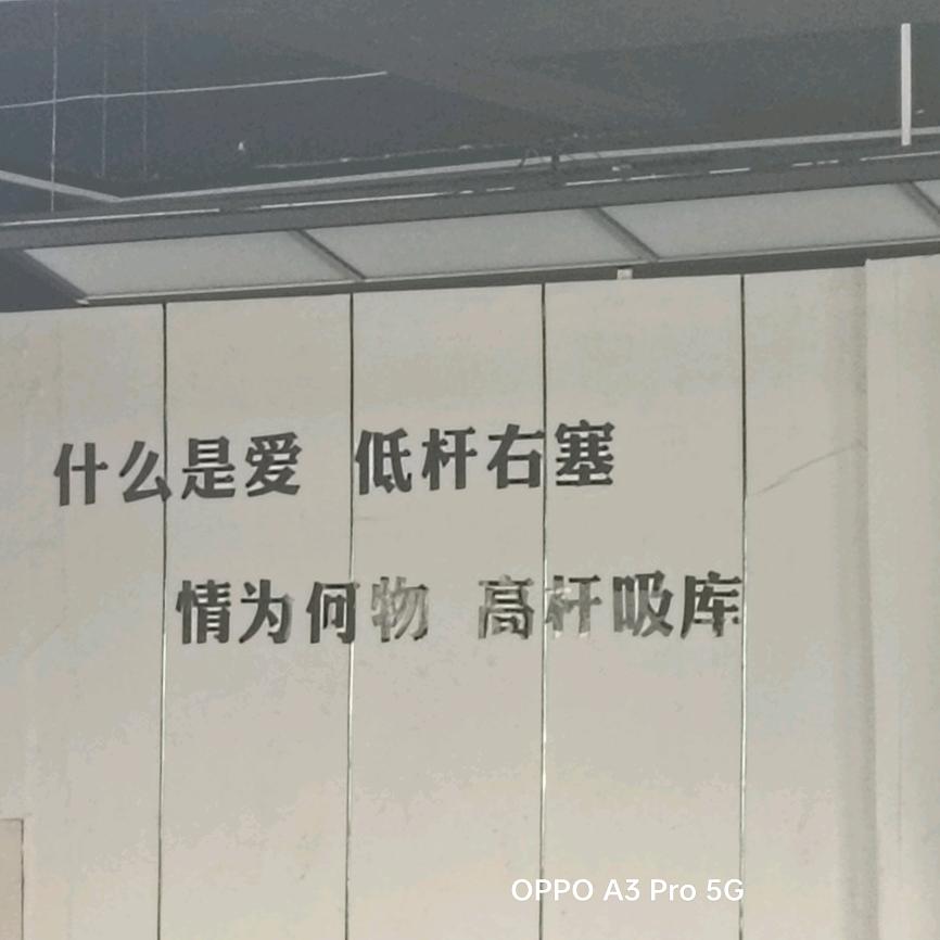 %忘々川＆