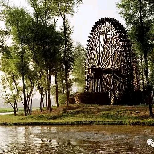 老男孩👦🐯🍀