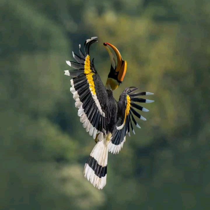 李马克k头像