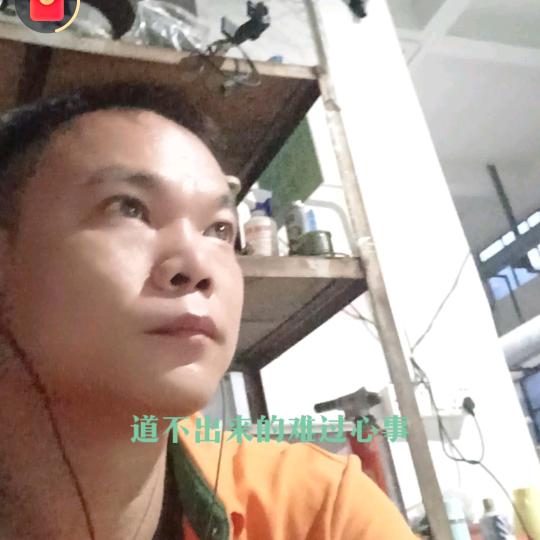 草根注塑老叶