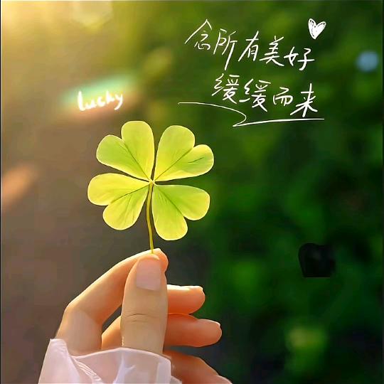 不发脾气，只发财