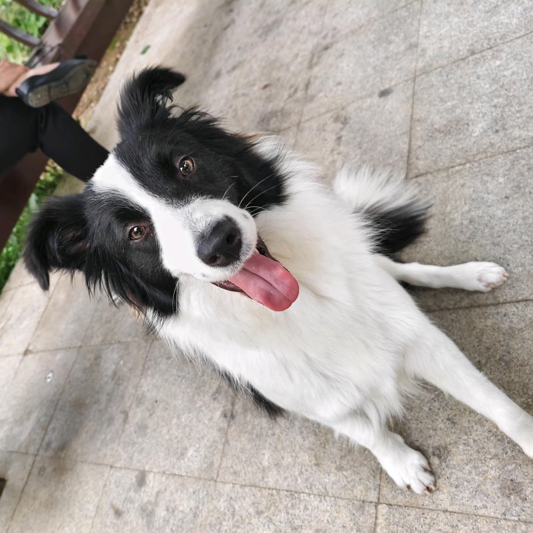 高山流水只为情