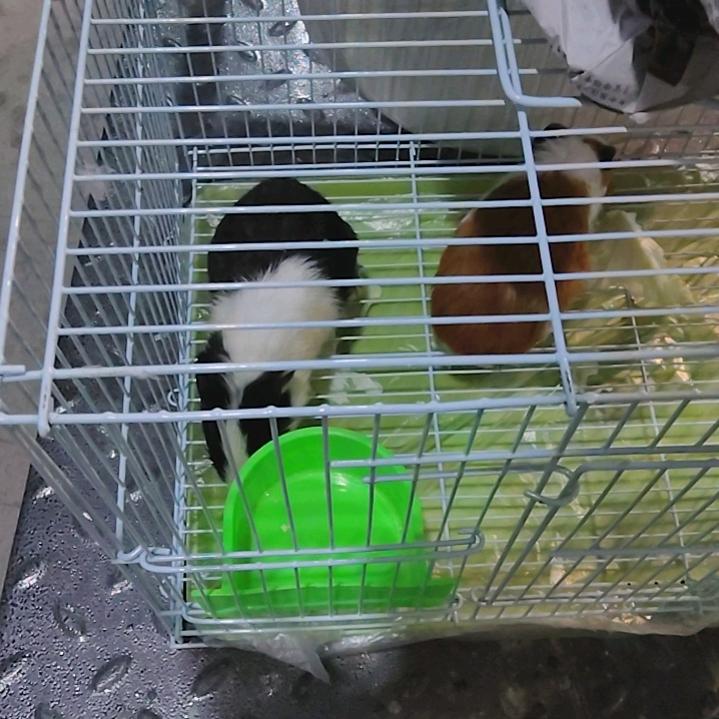 3分钱的快乐