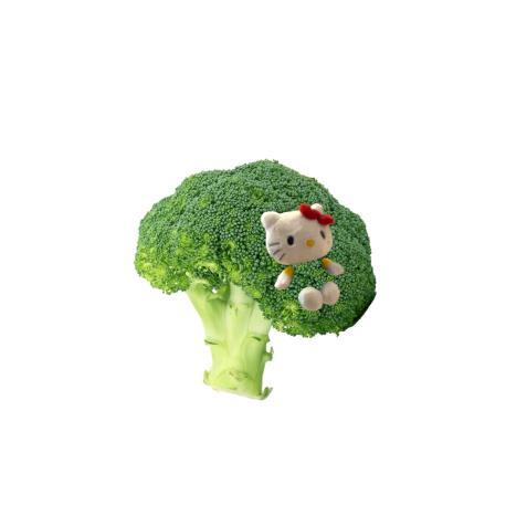 爱吃🥦