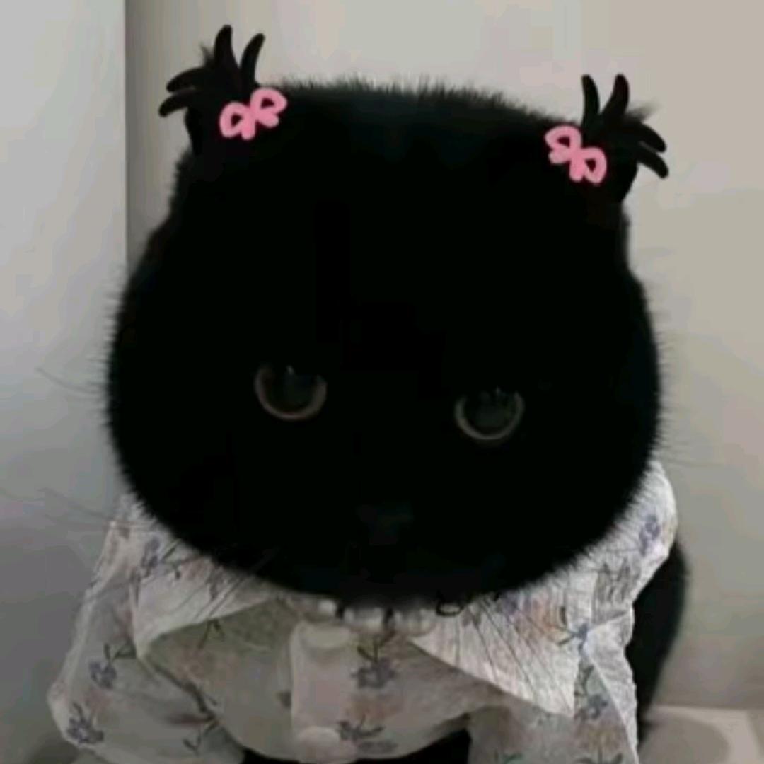 ᝰꫛ凡夫ಇ᭄俗子࿐