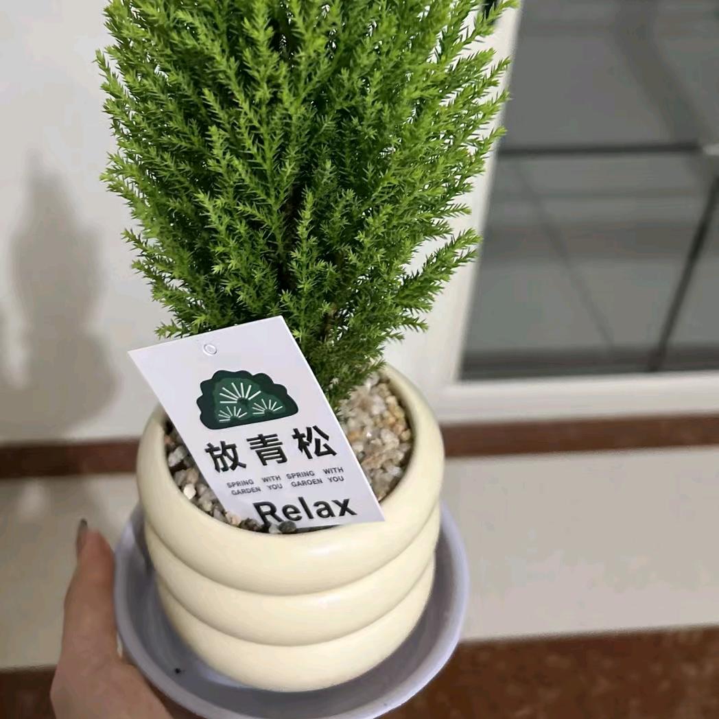 苏老师讲升学🍃