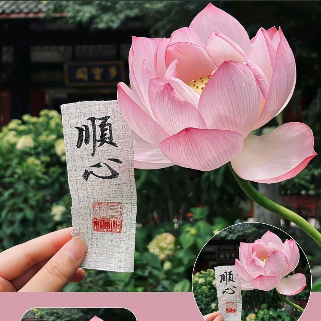 @憨逗吖