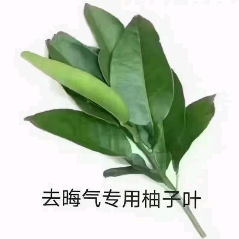 X@