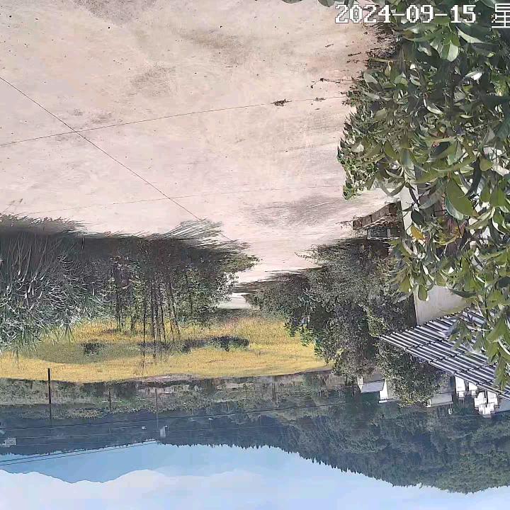 阳光下的男人