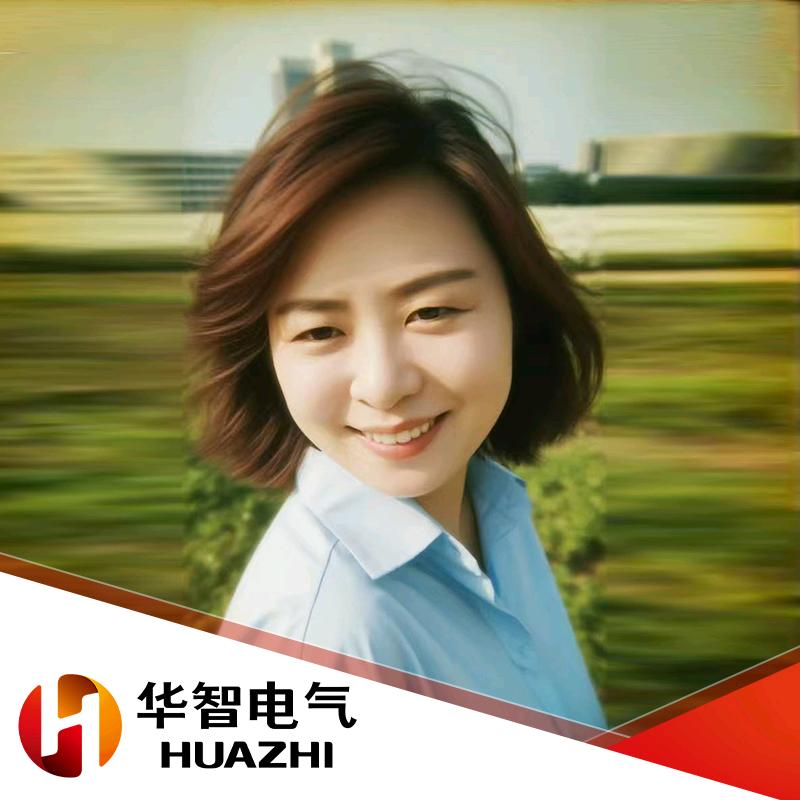 保定华智电气赵春艳