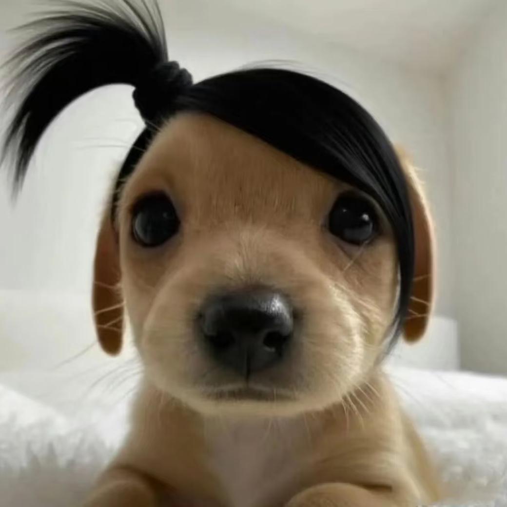 统治世界当大王