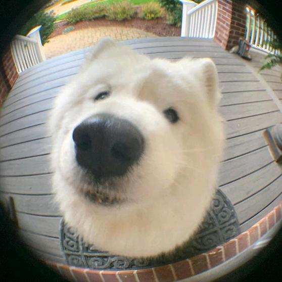 👻