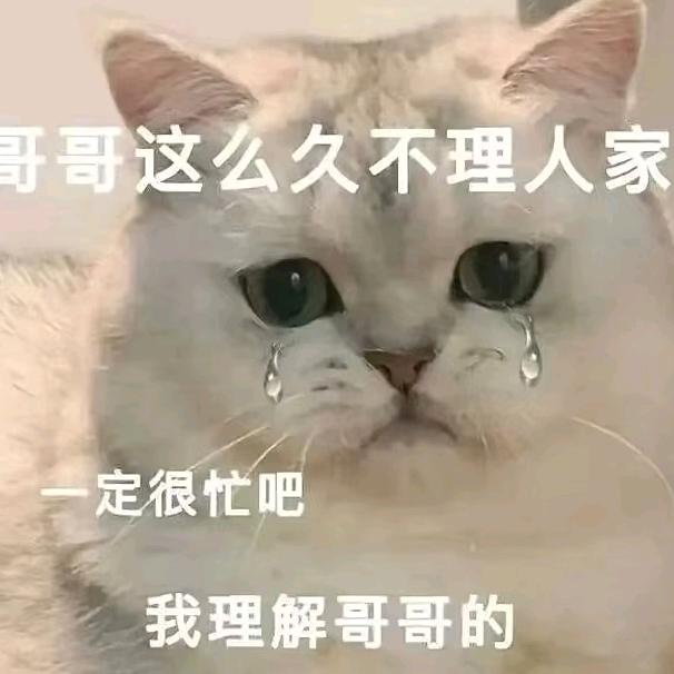 你的专属小助理已上线