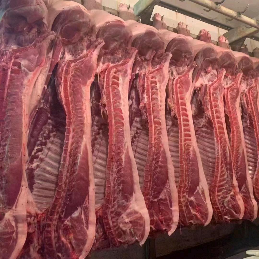 文安县小郝鲜猪肉