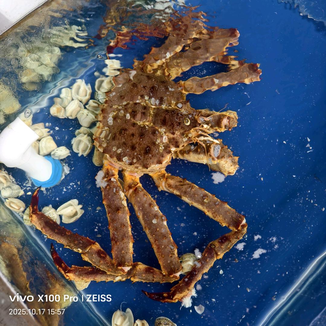 阿桃海鲜经营部