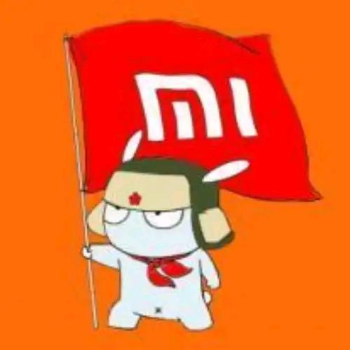 金太阳小米之家     储著云