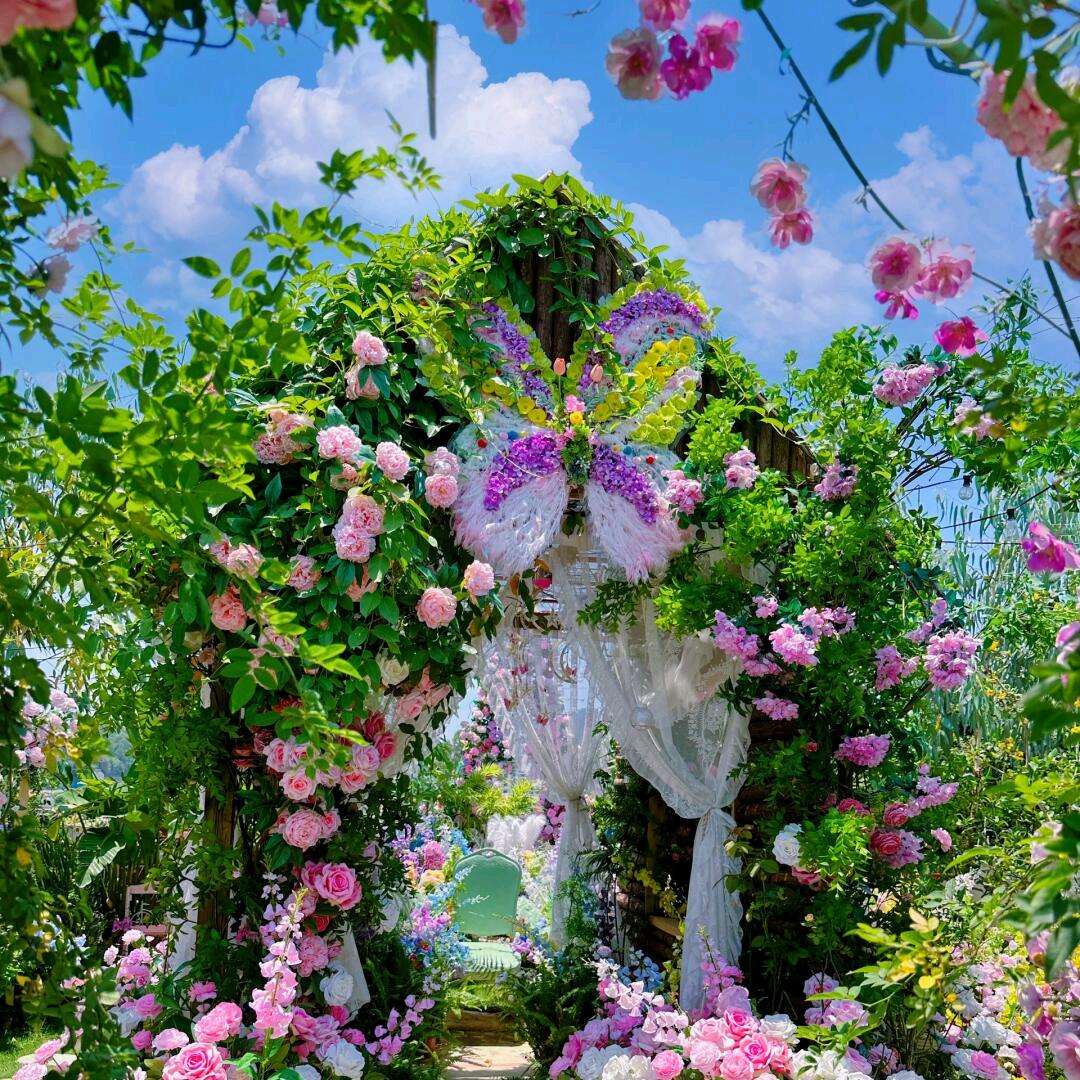 花开富贵00901